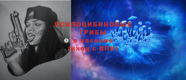 mdpv Кинешма