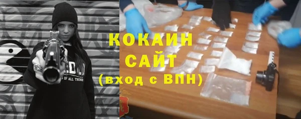 прущие грибы Киреевск
