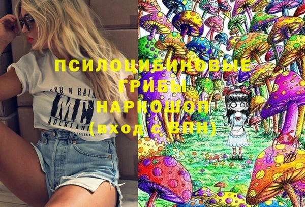 прущие грибы Киреевск