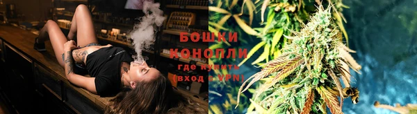 прущие грибы Киреевск