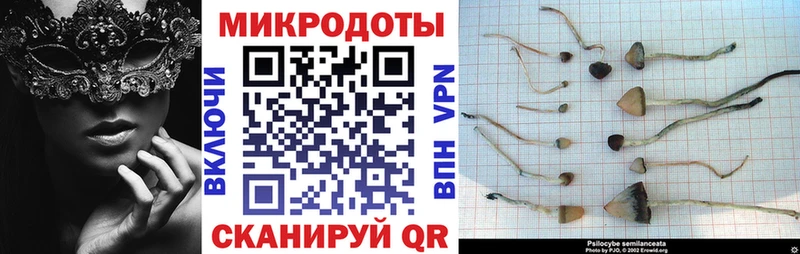 Купить где  Волжский  Галлюциногенные грибы мицелий 